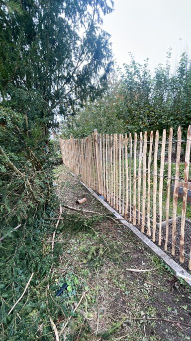 Holzzaun entlang eines schmalen Weges zwischen Bäumen und Gras.